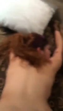 Video Filtrado De Briggitte Bozzo xxx